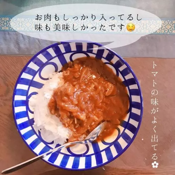 コストコのハッシュドビーフの写真