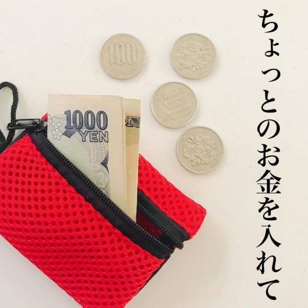 「この大きさが秀逸…！」ダイソーで話題の“ミニポーチ”がかなり使える！