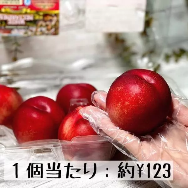 ホワイトネクタリン