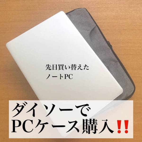 「ダイソーさんが優秀すぎる…」衝撃！機能性抜群な“とある専用ケース”が最強なんです！