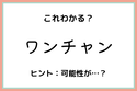 「ワンチャン」ってどういう意味？知っておきたい《正しい意味と使い方》