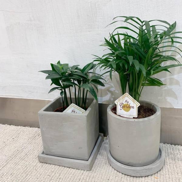 「スリコさん最強すぎ…！」大人気！即買い必至な“高見えインテリア”が勢ぞろい！