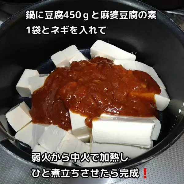 おとなの麻婆豆腐