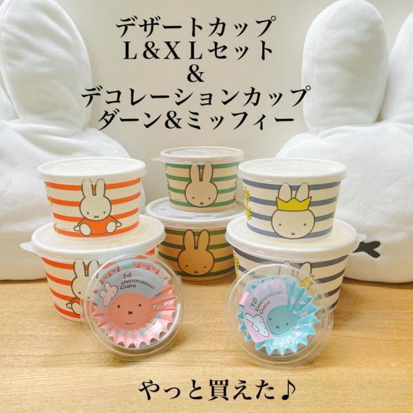 「人気コラボの新作出た！」ダイソーで話題の“ミッフィー雑貨”はマストバイ！