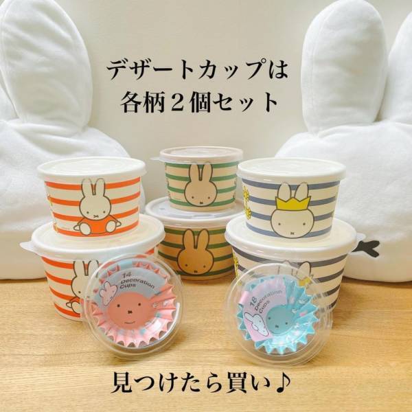 「人気コラボの新作出た！」ダイソーで話題の“ミッフィー雑貨”はマストバイ！