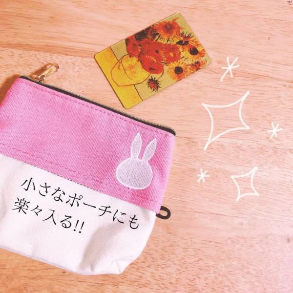 「この大きさは優秀すぎ…！」ダイソーで話題の“とあるミラー”はどこでも入る！？