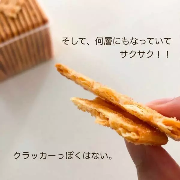 業務スーパーのハラペーニョクラッカー