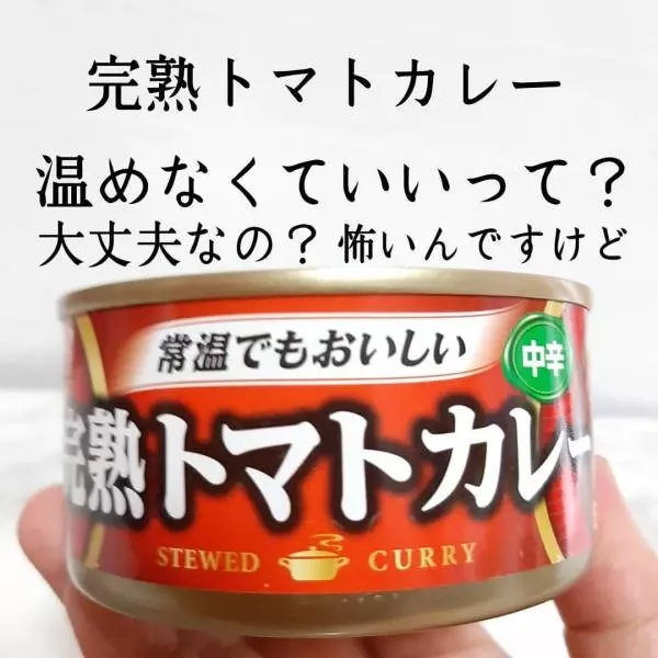 ダイソーの常温カレー