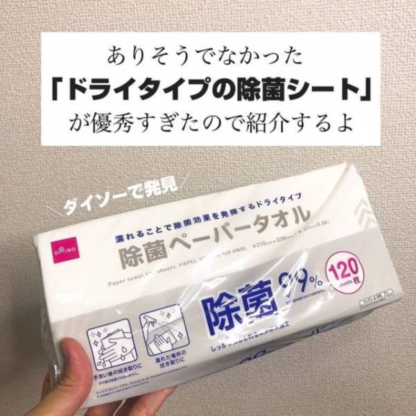 「ダイソーのクオリティが半端ない！」夏にありがたい”超優秀商品”今すぐ買って！