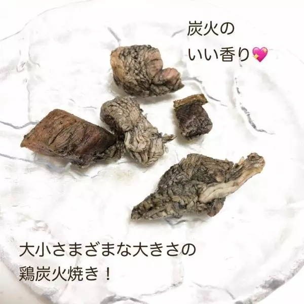 宮崎名物鶏炭火焼