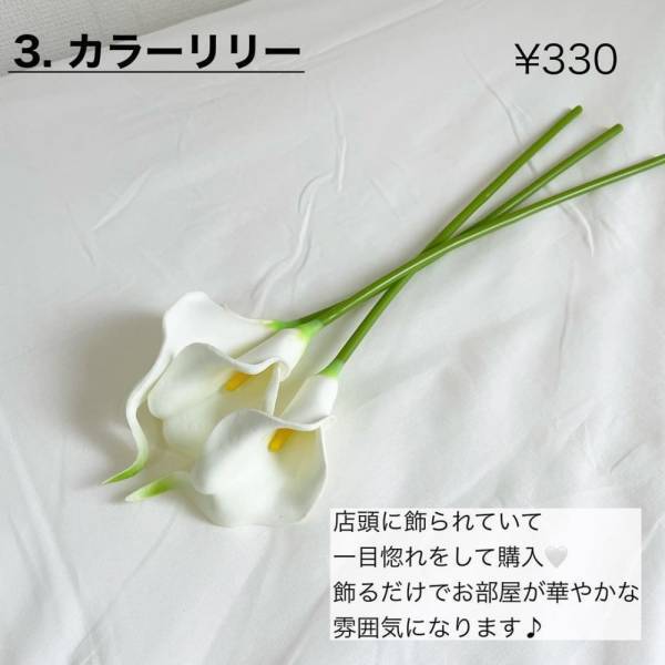 「人気の韓国インテリアが簡単に♡」スリコのおしゃれすぎる”生活雑貨”まとめ