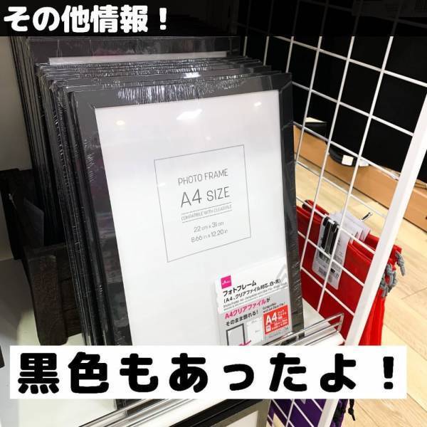 「これが欲しかった…」ダイソーで話題の“とあるフレーム”はアレ専用に使える！