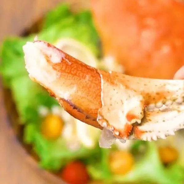 ボイルダンジネスクラブ