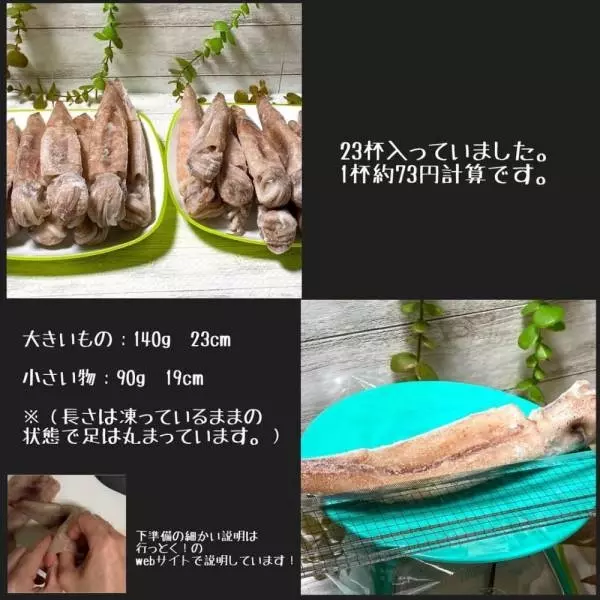 コストコのイカ姿