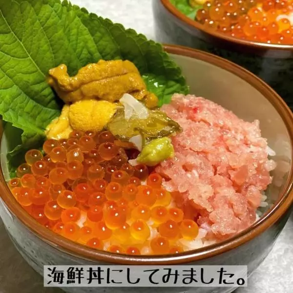 北海道産の生うに塩水パック