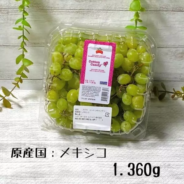 コットンキャンディーグレープ