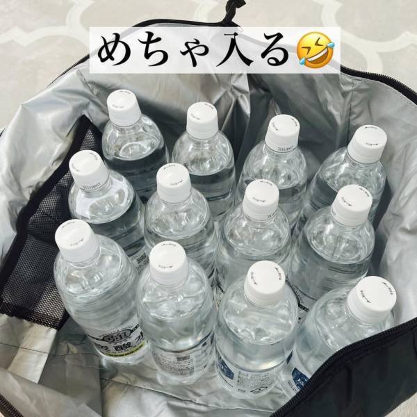 「ダイソー行ったら絶対買って！」衝撃！機能性抜群な“とあるバッグ”が万能すぎ！
