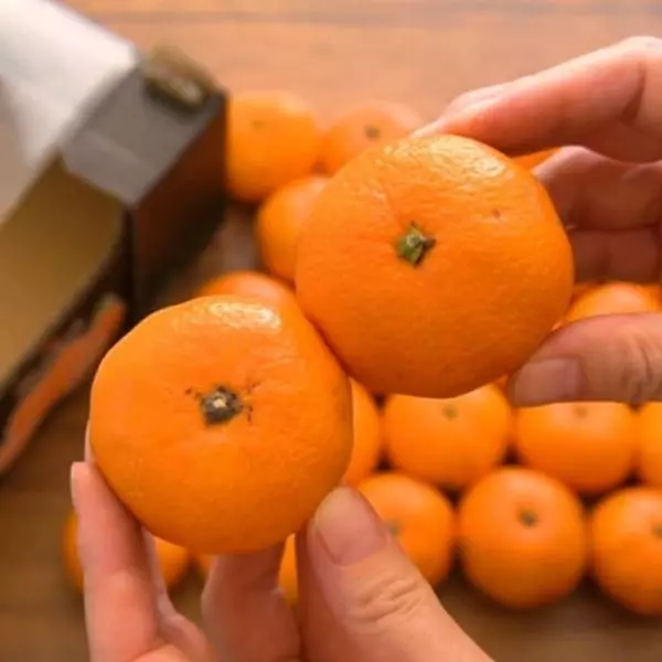 コストコのペルー産みかん