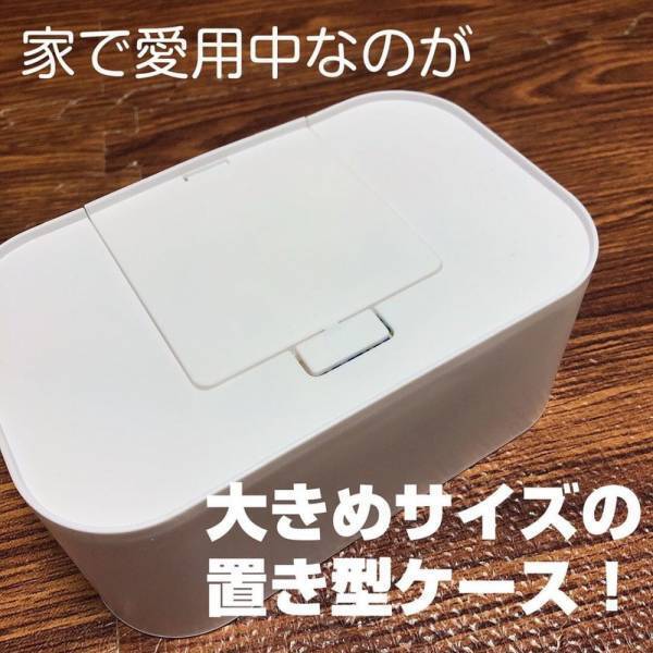 「コレは要チェック！」ダイソーの“とあるケース”は大きさが最強なんです！