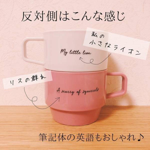 「かわいい上にお得じゃん！」ダイソーで見つけた“プラコップ”は驚きのコスパ！？