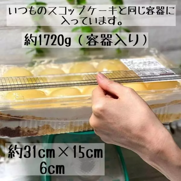 洋梨パンナコッタムースケーキ