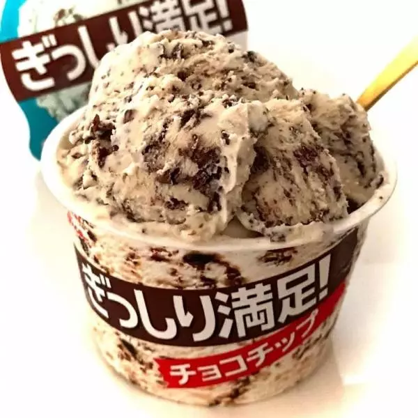 ぎっしり満足！チョコチップ