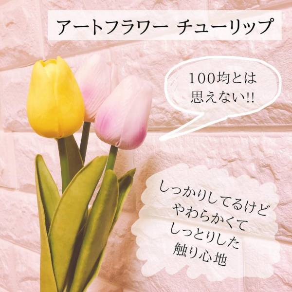 「このかわいさでこの価格！？」セリアの“韓国っぽ雑貨”が最高すぎると話題！