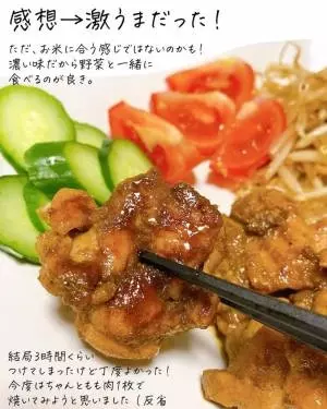 カルディのガイヤーンペースト