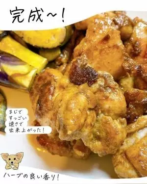 カルディのガイヤーンペースト