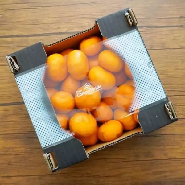 ペルー産みかん