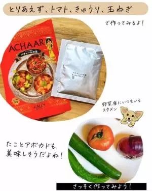 カルディのアチャールの素