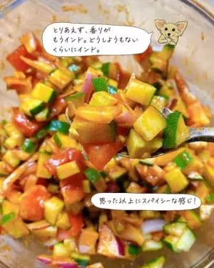 カルディのアチャールの素