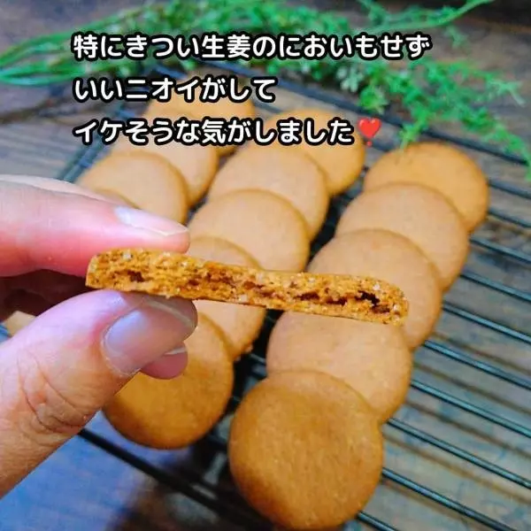 業務スーパーのジンジャービスケット