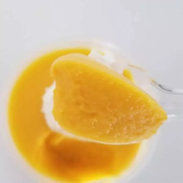 とろ生かぼちゃプリン