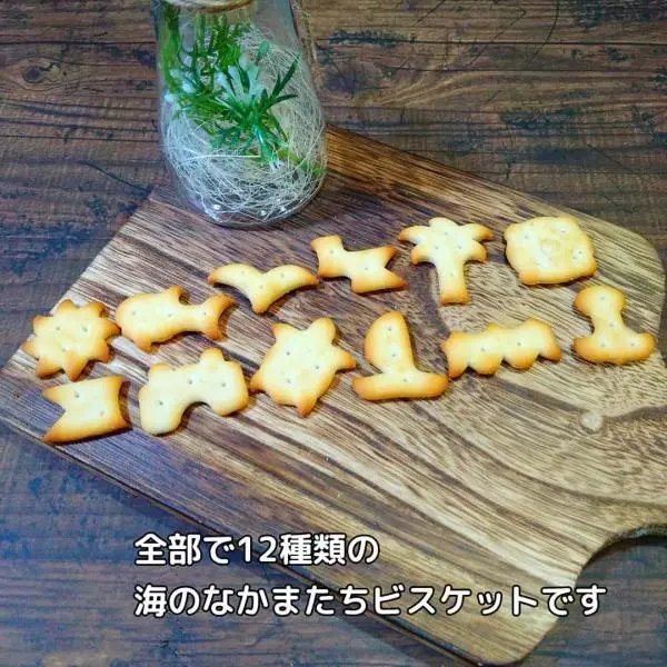 海のなかまたちビスケット