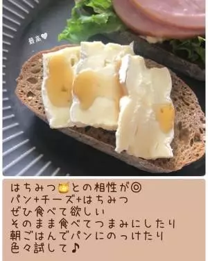 コストコのル・ルスティックブリー