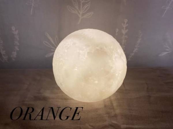 「一気に部屋が華やぐかも！？」「プチプラに見えない…」スリコの“おすすめインテリア”4選