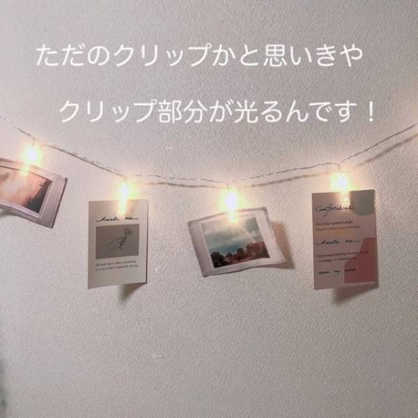 「一気に部屋が華やぐかも！？」「プチプラに見えない…」スリコの“おすすめインテリア”4選