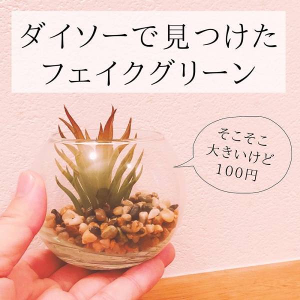 「本物にしか見えない…！」ダイソーの“フェイクグリーン”はクオリティが高すぎるらしい！？