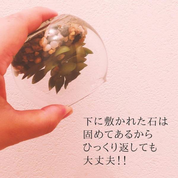 「本物にしか見えない…！」ダイソーの“フェイクグリーン”はクオリティが高すぎるらしい！？