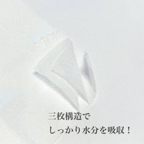 「手洗いうがいのお供に！？」ダイソーの”ペーパーハンカチ”が便利らしい！