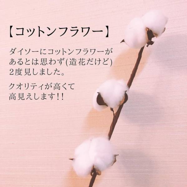 「高クオリティ商品発見！？」100均アイテムで作る“秋のインテリア”