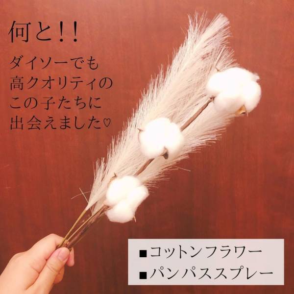 「高クオリティ商品発見！？」100均アイテムで作る“秋のインテリア”