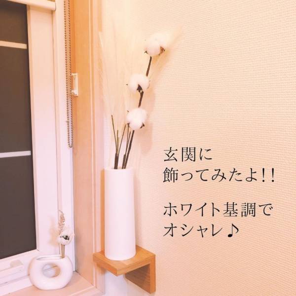 「高クオリティ商品発見！？」100均アイテムで作る“秋のインテリア”