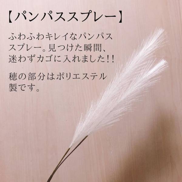 「高クオリティ商品発見！？」100均アイテムで作る“秋のインテリア”