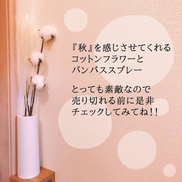 「高クオリティ商品発見！？」100均アイテムで作る“秋のインテリア”
