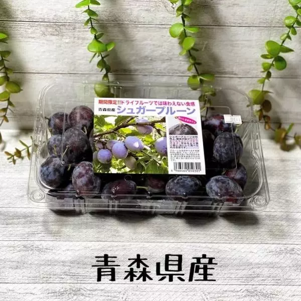 シュガープルーン