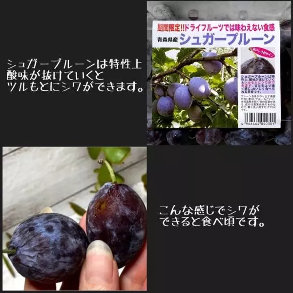 シュガープルーン