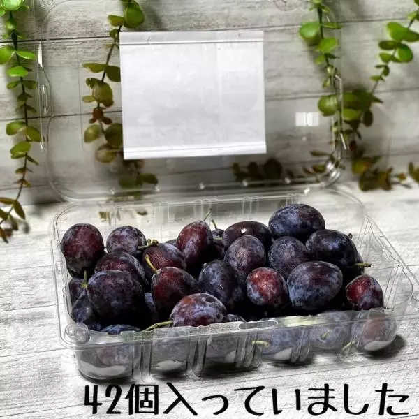 シュガープルーン