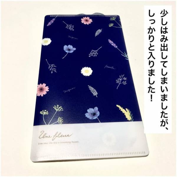 「これは重宝しそう♡」ダイソーの“優秀マスクケース”は見た目も可愛いって噂！